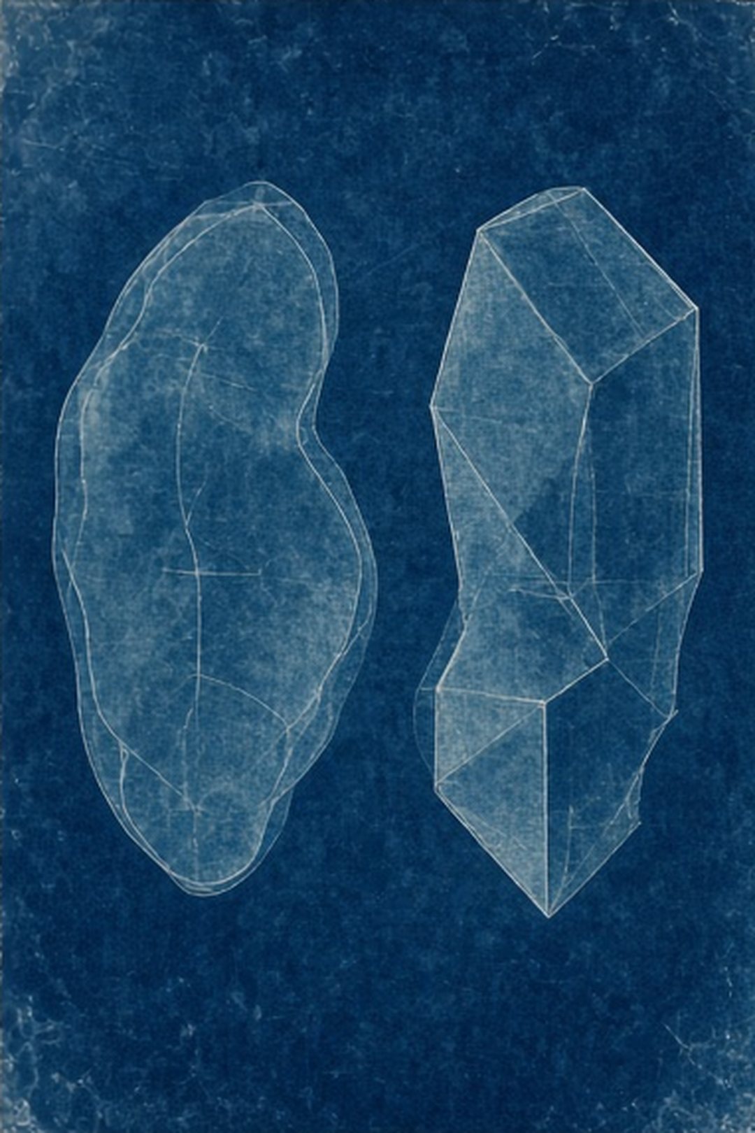 Two transparent cyanotype comparison overlays without numerical values